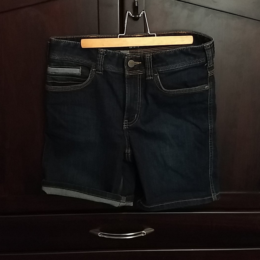 Carhartt Jean Shorts